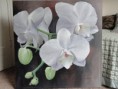 /album/schilderijen-bloemen/orchideen-jpg/